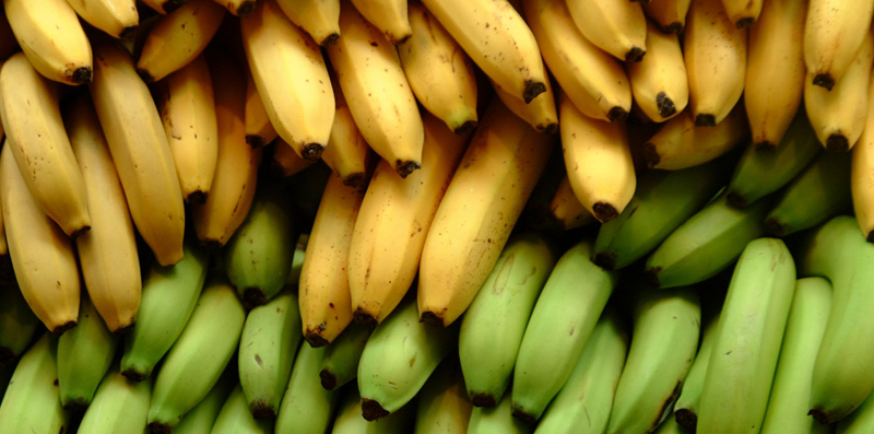La banane, un allié pour votre bien-être